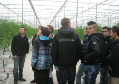 visites-serres02-400x284