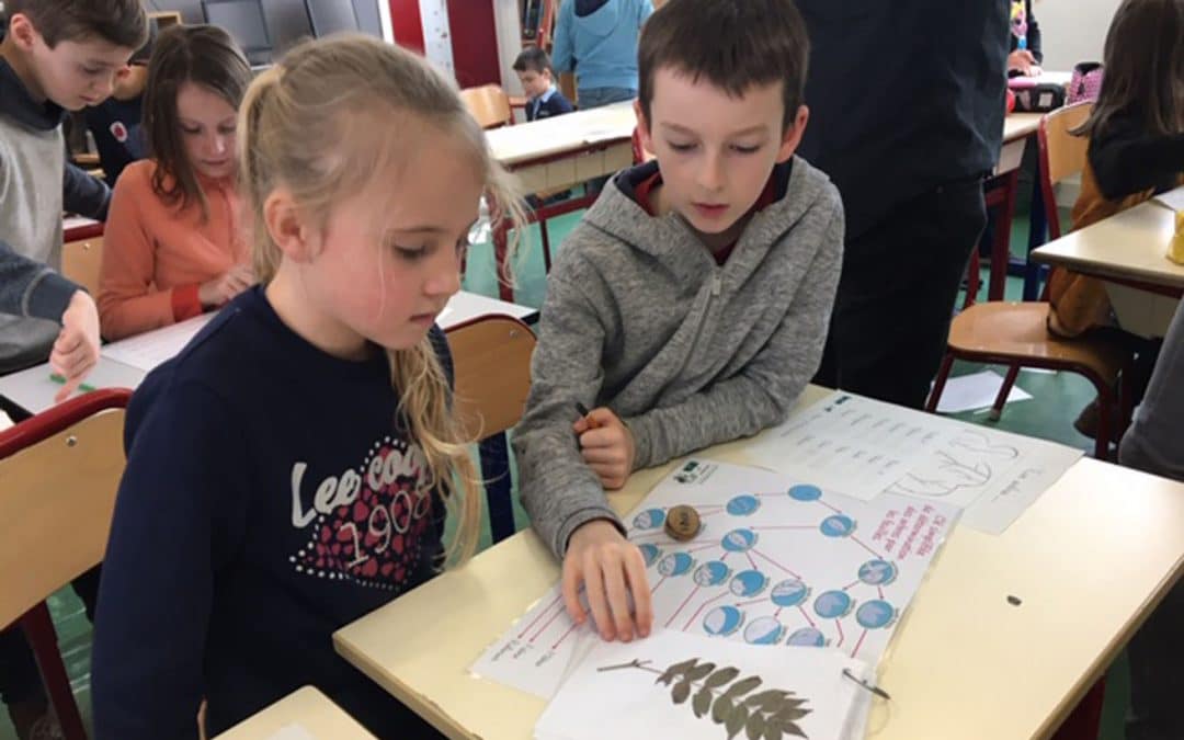 Rencontre des CE2 avec un passionné d’arbres