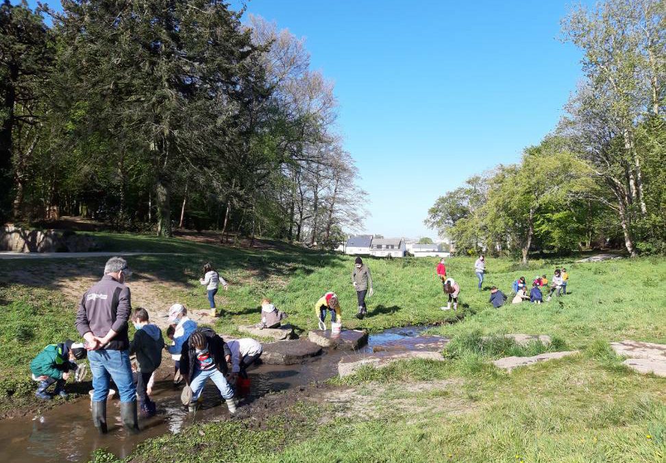 Animation pour les CP par l’association « Eaux et rivières de Bretagne « 