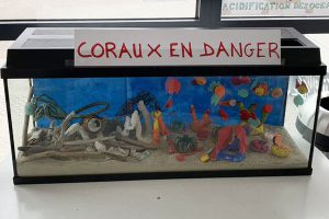 Coraux-en-danger-300x200
