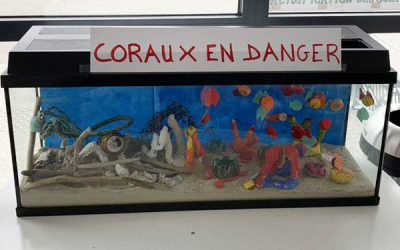 Coraux-en-danger-400x250