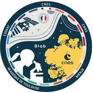 « Elève ton blob »