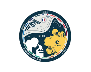 blob-1-319x250