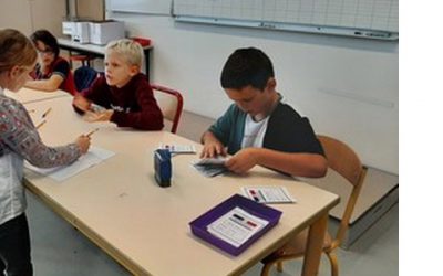 election-400x250
