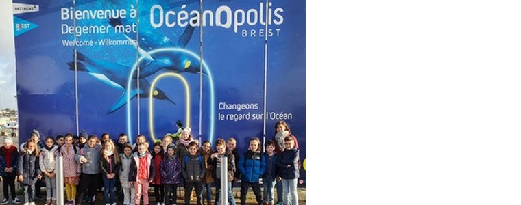 Les CE1-CE2 à Océanopolis